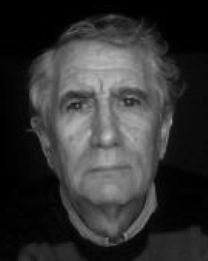 Alain Greiner
