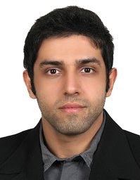 Seyed Mohammad Mojtabaei