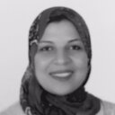 Mervat Gamal Eldin Mansour