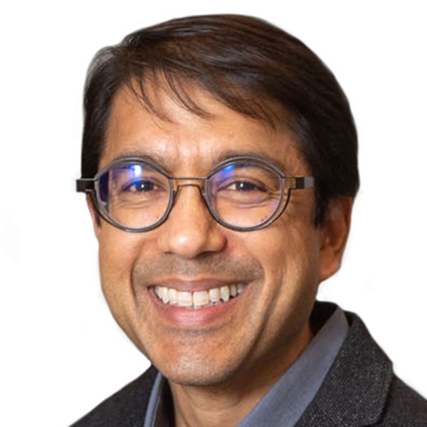 Vivek K Goyal