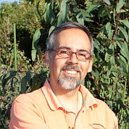 Luis Apiolaza