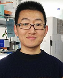 Tong Liang