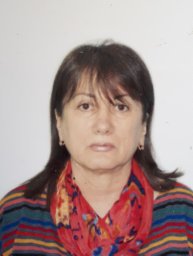 Elmira P. Safarova