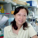 Ying-Ying Liu
