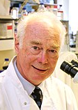 Martin Evans