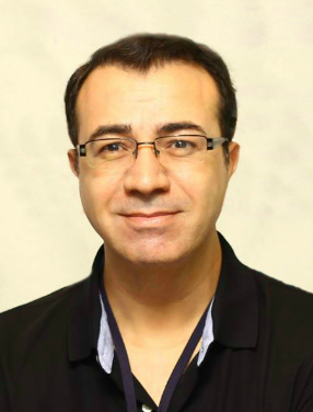Ali Elkamel