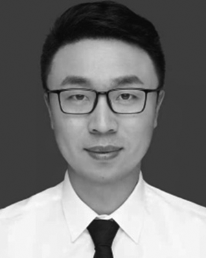 Wenlong Yang