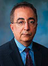 Massoud Motamedi