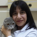Nilgun Gultiken