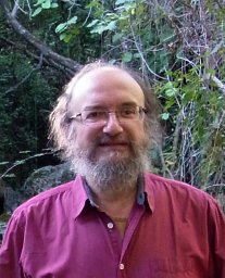 José Luís Gómez Ribelles