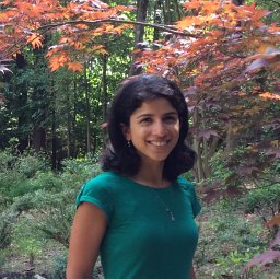 Krishna Aditi