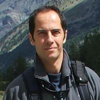 Massimo Nepi