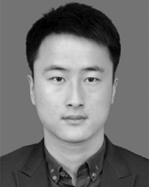 Qimeng Yang