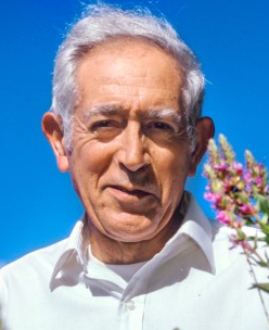 David Pimentel