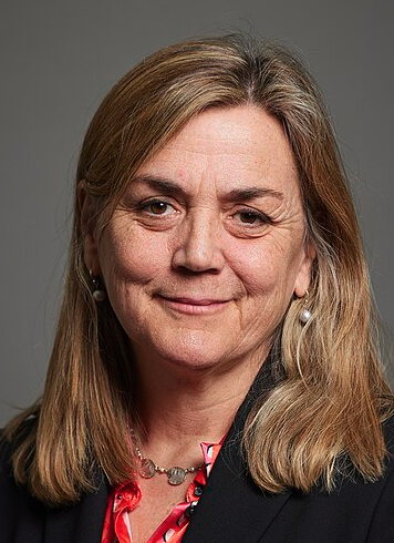 Baroness Kathy Willis