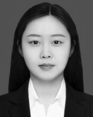 Weinan Chen