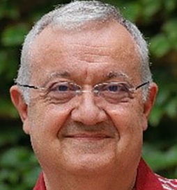 Dumitru Mircea Vuluga
