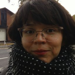 Monica L Garcia-Gomez