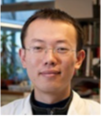 Qing Zhao
