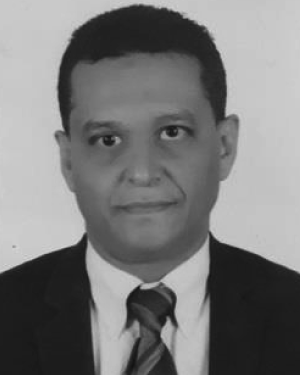 Wael Abou El-Wafa