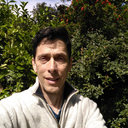 Mark J Gibbs