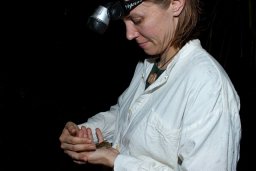 Lisa K. Belden