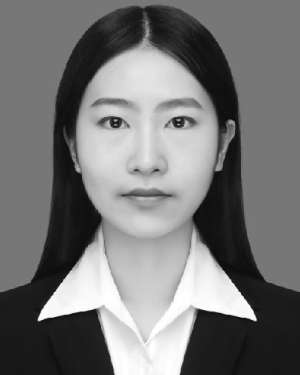 Ni Fei