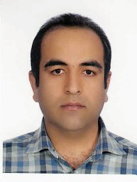 Seyed Mehdi Mansourzadeh