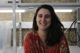 Leonor R Rodrigues