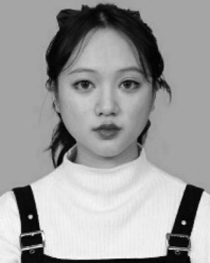 Zheng Feng