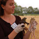 Sarah Descamps