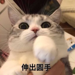 Yuanpu Xie