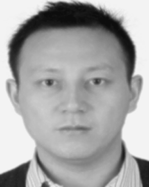 Wenhong Gao