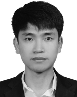 Minh N. H. Nguyen