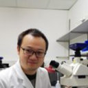 Tao Lei