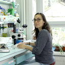 Pauline E Jullien