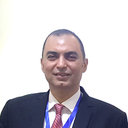 Prof. Walid Tawfik