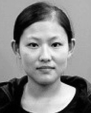 Liping Yin