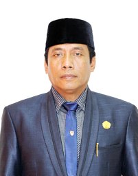 Luthfi Auni