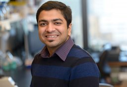 Neel Jasani