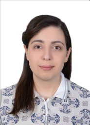 Elmira Mohammadi