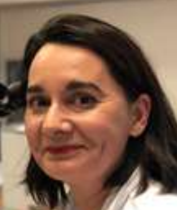 Magali Lacroix-Triki