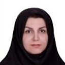 Shiva Borzouei