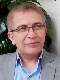 Mohammadreza Modaresi