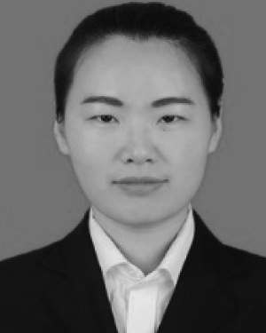 Shanshan Yin