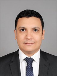 Mahmoud S. Elzalabany