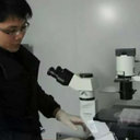 Yingjie Li