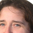 Dominique Vanhecke