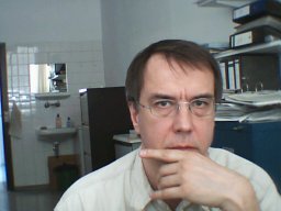Andrei L Kleschyov
