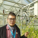 Xin-Jie Jin